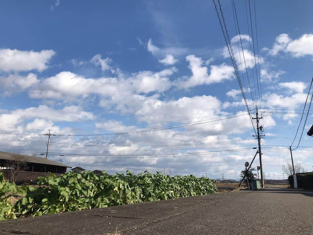 柏木作夢さんのインスタグラム写真 - (柏木作夢Instagram)「楽しかった正月休みも今日でおしまい👋  明日からまたフルオンで頑張ります。  始発で東京へ。  #2020 #スタート #岐阜 #田舎 #思い出 #最高 #青空 #sky #beauty #mood #gifu」1月6日 0時03分 - samukashiwagi