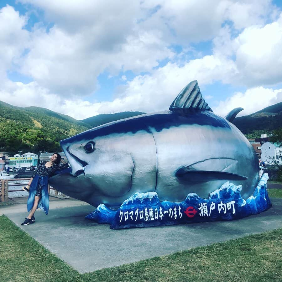 山内マリコさんのインスタグラム写真 - (山内マリコInstagram)「加計呂麻島から奄美大島に渡って１枚。マグロもいいけど鶏飯！鶏飯！  #amamioshima」1月6日 0時03分 - yamauchi_mariko