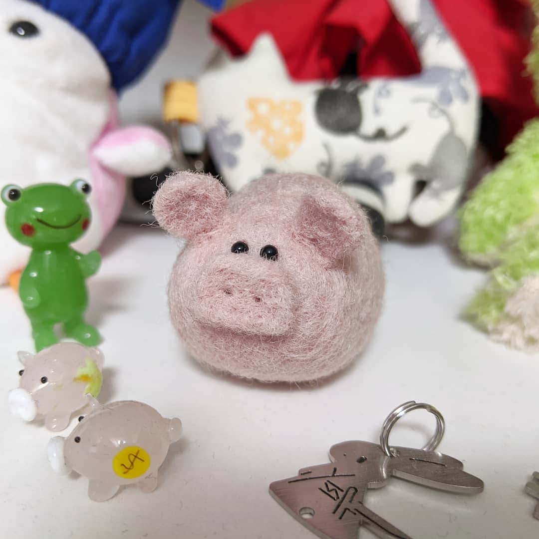 refeiaのインスタグラム：「ニューカマー🐷」