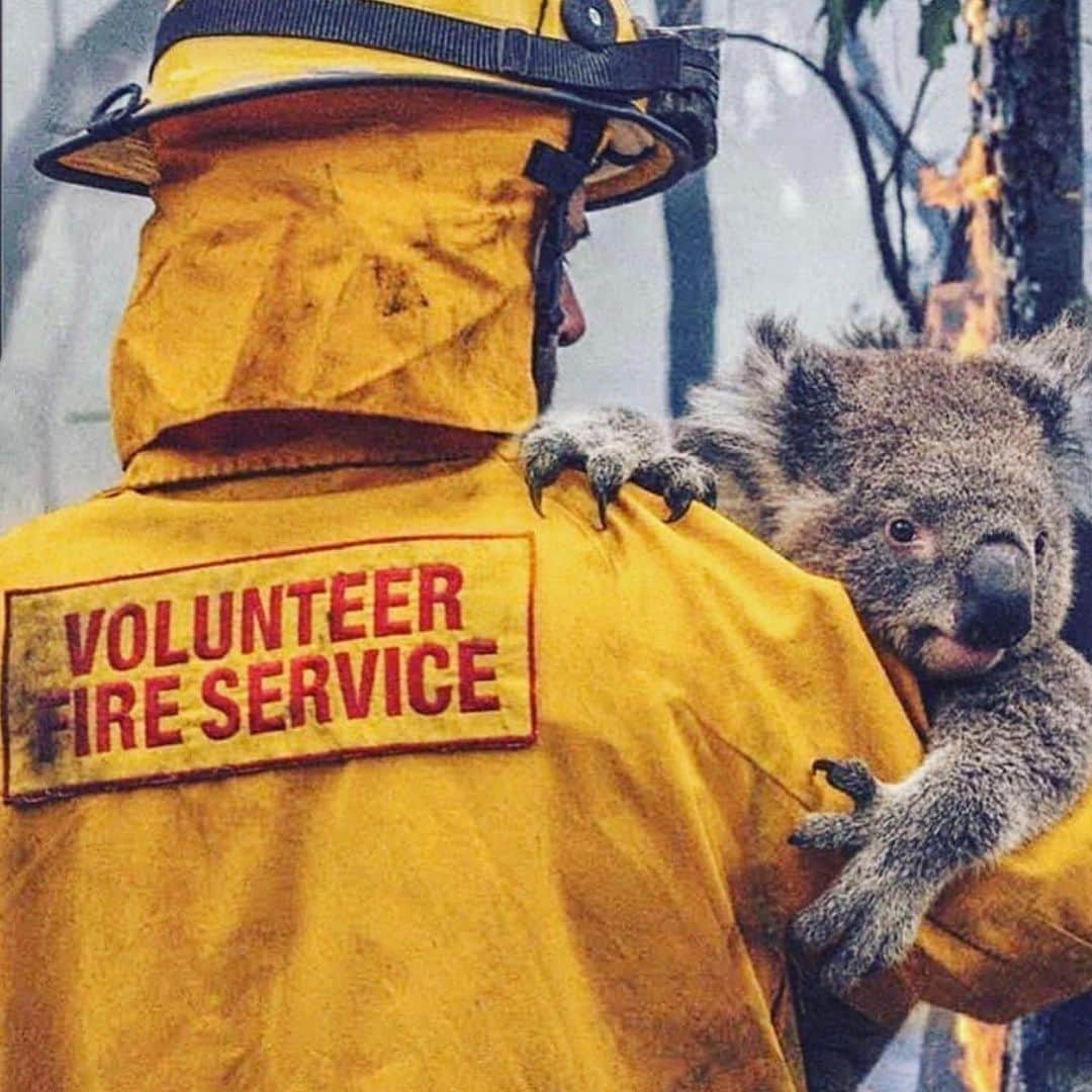 スコット・イーストウッドさんのインスタグラム写真 - (スコット・イーストウッドInstagram)「Australia is having a tough time. The fires have destroyed people’s homes and lives.  I’m so bummed to see a country I love so much in pain.  The next pic are some links to support the brave fire departments who have been working tirelessly to save people, homes and animals.」1月6日 1時03分 - scotteastwood