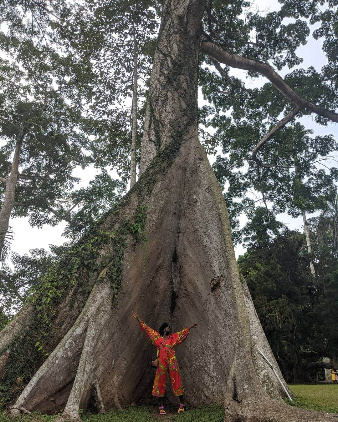 ルピタ・ニョンゴさんのインスタグラム写真 - (ルピタ・ニョンゴInstagram)「Ghana is goooooooood」1月6日 2時17分 - lupitanyongo