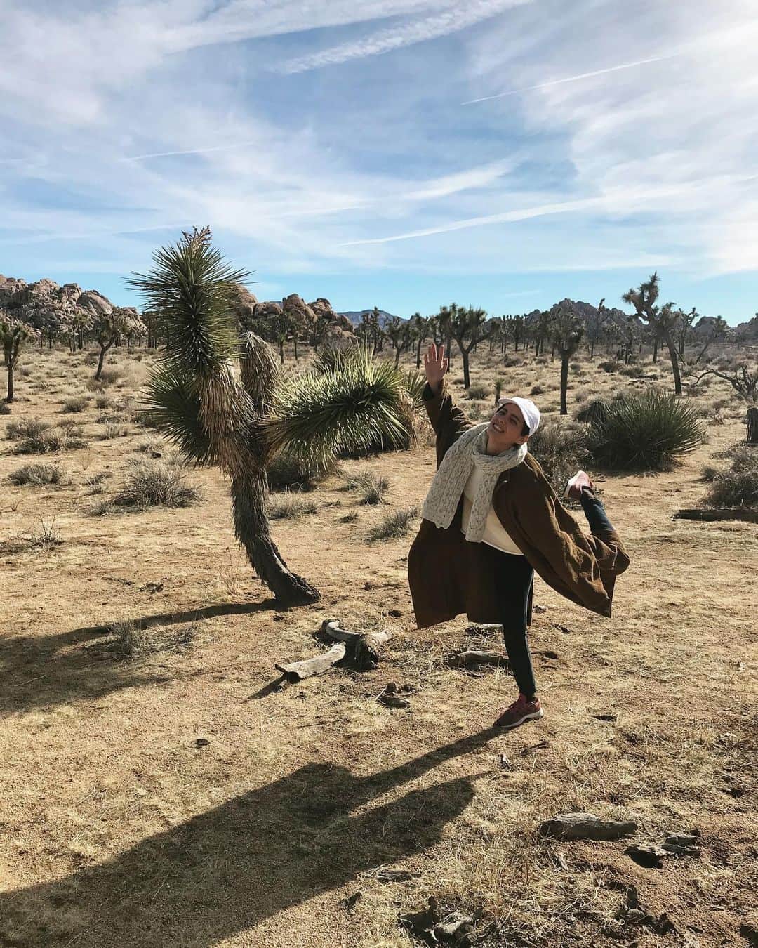 サンドバーグ直美のインスタグラム：「Kicking off the new year like 🌵🌵 #2020 #joshuatree #naomitree #palmsprings」