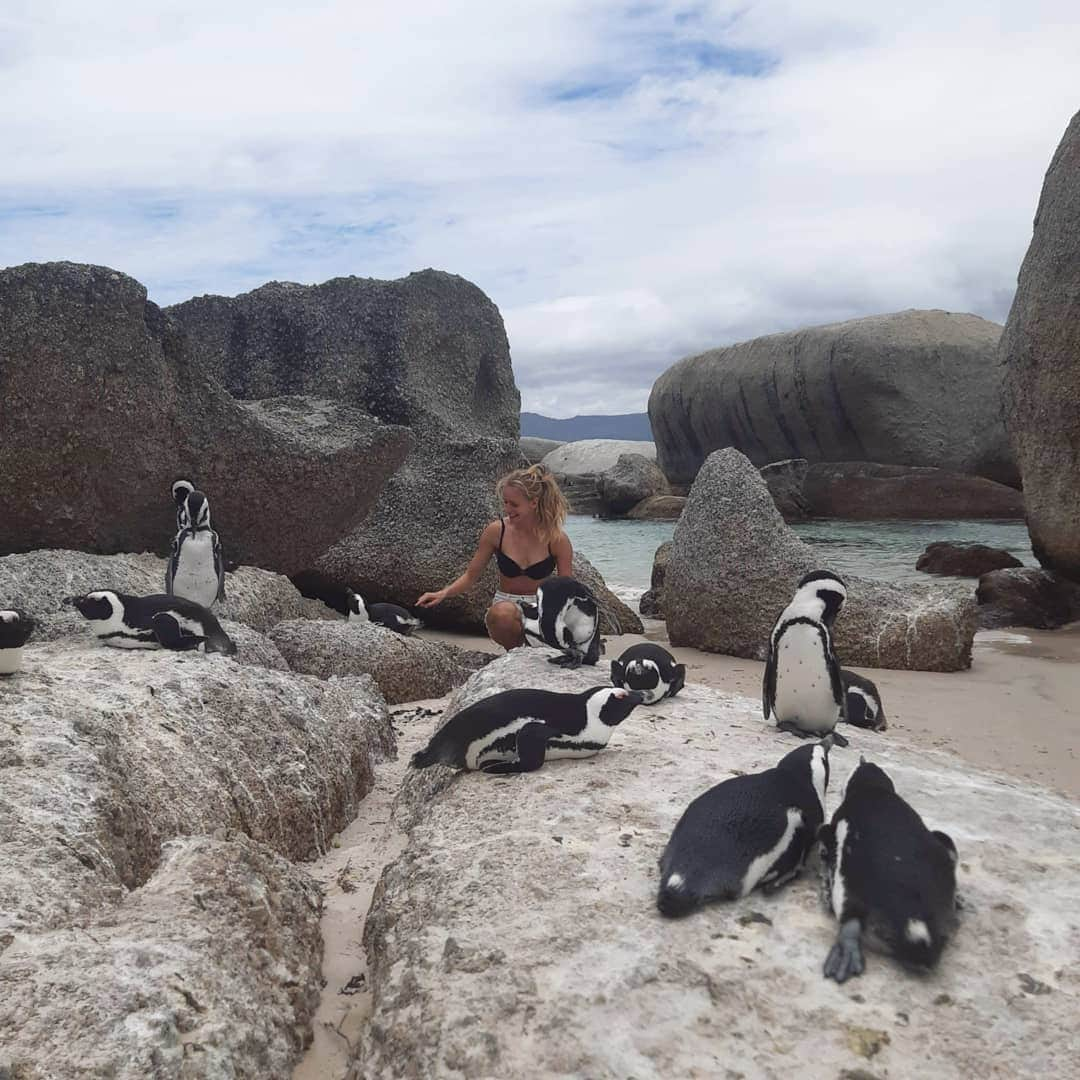 メッテ・グラスゴワールさんのインスタグラム写真 - (メッテ・グラスゴワールInstagram)「Et gensyn med pingvinerne 🐧 • • #southafrica #roadtrip #penguins #kaninørepåenpingvin #steffengørdetgodt #sidstebillede #simonstown #bouldersbeach #offday #trainingcamp」1月6日 2時35分 - mette_graversgaard