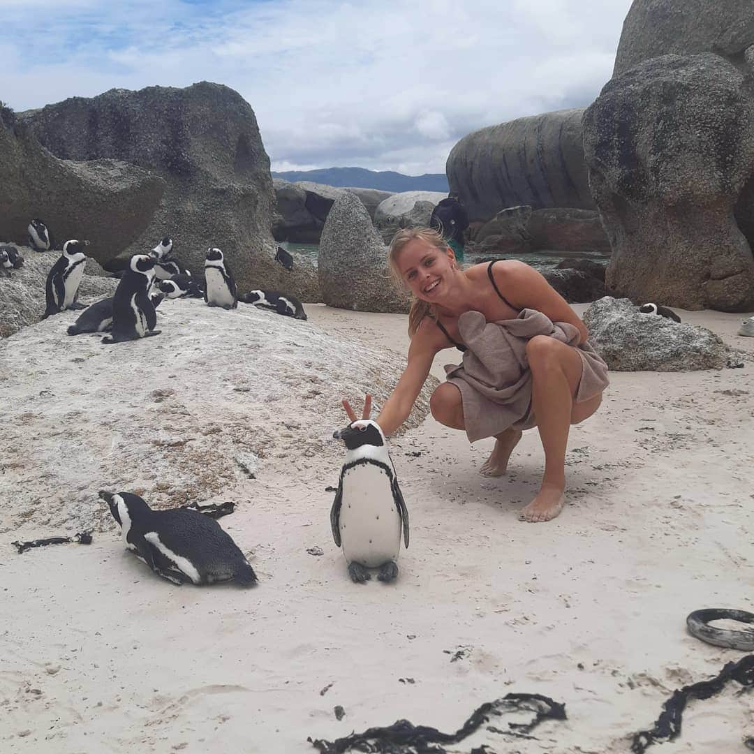 メッテ・グラスゴワールさんのインスタグラム写真 - (メッテ・グラスゴワールInstagram)「Et gensyn med pingvinerne 🐧 • • #southafrica #roadtrip #penguins #kaninørepåenpingvin #steffengørdetgodt #sidstebillede #simonstown #bouldersbeach #offday #trainingcamp」1月6日 2時35分 - mette_graversgaard