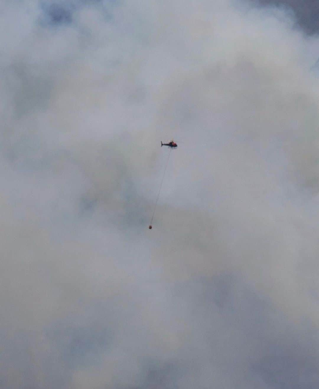 WildLifeさんのインスタグラム写真 - (WildLifeInstagram)「By @jalilnajafov / Just a few weeks ago I took this Image of the bushfires in blue mountains. Within the fog my mind saw what appeared to be a small puppy outlined, and it prompted me to think of all the life that could, and would die as a result of this aggressive, and relentless fire. I remember standing on the sidelines feeling the disaster that was unfolding before me. My heart is with you Australia!  Sydney University have estimated more than 500 million animals have died in Australia since September, as a result of the bushfires. including 8,000 koalas. Officials fear that 30% of the koala colony in New South Wales had been destroyed as 10 million acres of land burnt to the ground in the state…fires are still burning! At least 15 people have died, with 8 deaths confirmed in the past week. Fires raged across forest and scrubland along Australia’s Pacific coast, choking cities with thick smoke, charring more than 1,800 houses and killing countless wild animals.  Here’s what you can do to help those affected by the devastation.  Websites for good causes you can search & donate to include: www.rfs.nsw.gov.au  www.cfa.vic.gov.au  www.givit.org.au  www.cfsfoundation.org.au  www.redcross.org.au www.koalahospital.org.au  Photos: @jalilnajafov #australia #bushfiresaustralia #bushfires #bushfire」1月6日 2時55分 - wildlifepage