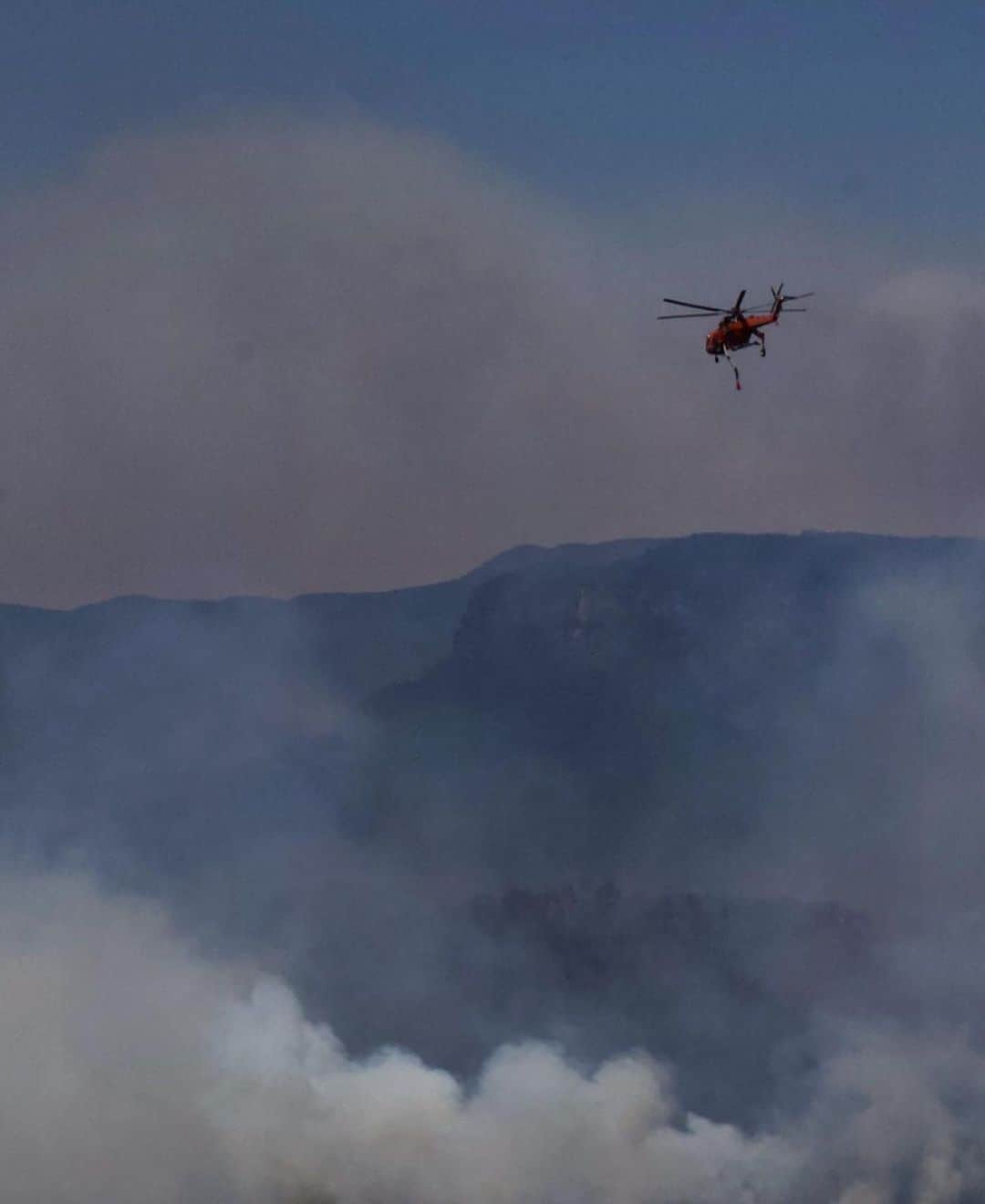 WildLifeさんのインスタグラム写真 - (WildLifeInstagram)「By @jalilnajafov / Just a few weeks ago I took this Image of the bushfires in blue mountains. Within the fog my mind saw what appeared to be a small puppy outlined, and it prompted me to think of all the life that could, and would die as a result of this aggressive, and relentless fire. I remember standing on the sidelines feeling the disaster that was unfolding before me. My heart is with you Australia!  Sydney University have estimated more than 500 million animals have died in Australia since September, as a result of the bushfires. including 8,000 koalas. Officials fear that 30% of the koala colony in New South Wales had been destroyed as 10 million acres of land burnt to the ground in the state…fires are still burning! At least 15 people have died, with 8 deaths confirmed in the past week. Fires raged across forest and scrubland along Australia’s Pacific coast, choking cities with thick smoke, charring more than 1,800 houses and killing countless wild animals.  Here’s what you can do to help those affected by the devastation.  Websites for good causes you can search & donate to include: www.rfs.nsw.gov.au  www.cfa.vic.gov.au  www.givit.org.au  www.cfsfoundation.org.au  www.redcross.org.au www.koalahospital.org.au  Photos: @jalilnajafov #australia #bushfiresaustralia #bushfires #bushfire」1月6日 2時55分 - wildlifepage