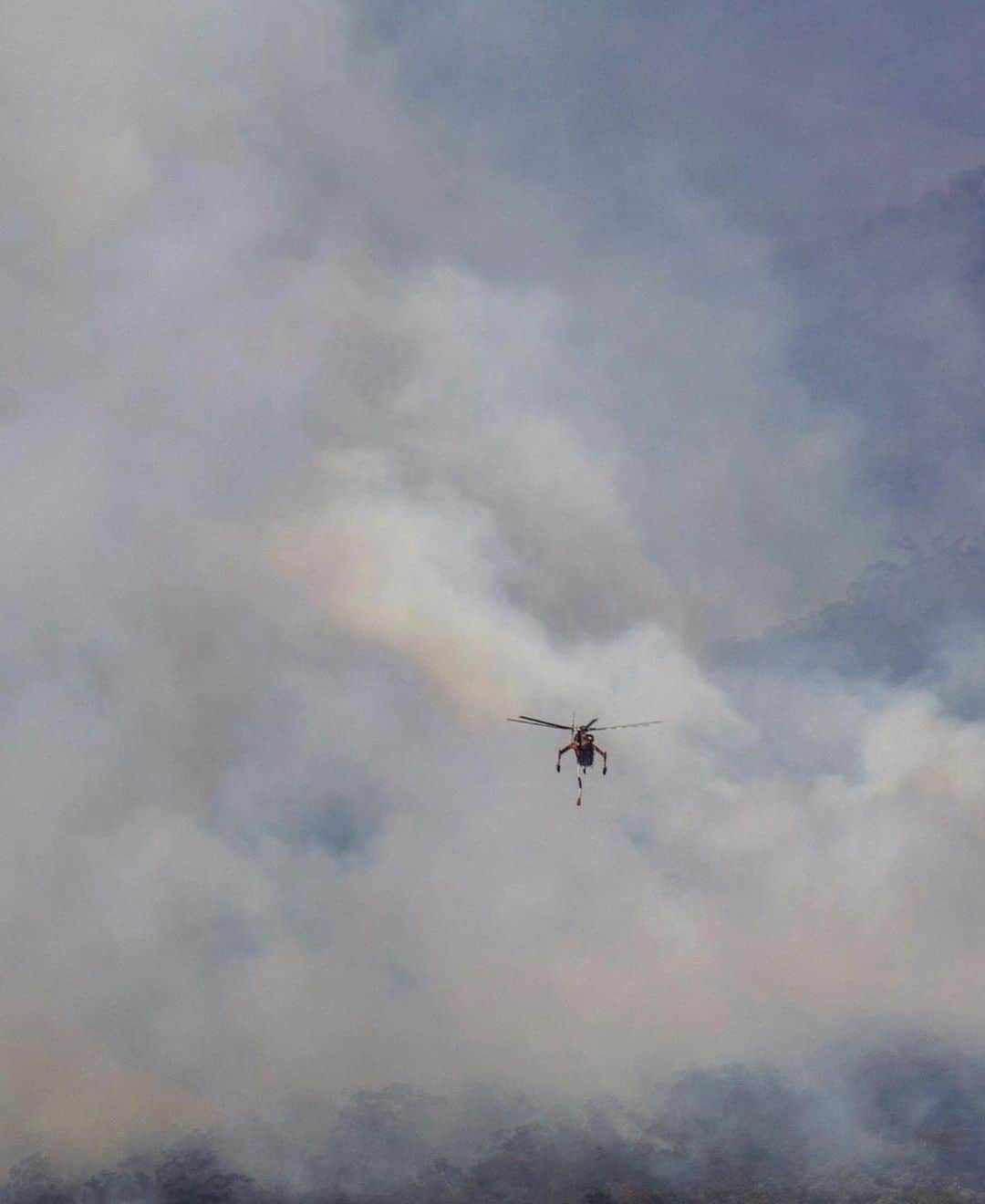 WildLifeさんのインスタグラム写真 - (WildLifeInstagram)「By @jalilnajafov / Just a few weeks ago I took this Image of the bushfires in blue mountains. Within the fog my mind saw what appeared to be a small puppy outlined, and it prompted me to think of all the life that could, and would die as a result of this aggressive, and relentless fire. I remember standing on the sidelines feeling the disaster that was unfolding before me. My heart is with you Australia!  Sydney University have estimated more than 500 million animals have died in Australia since September, as a result of the bushfires. including 8,000 koalas. Officials fear that 30% of the koala colony in New South Wales had been destroyed as 10 million acres of land burnt to the ground in the state…fires are still burning! At least 15 people have died, with 8 deaths confirmed in the past week. Fires raged across forest and scrubland along Australia’s Pacific coast, choking cities with thick smoke, charring more than 1,800 houses and killing countless wild animals.  Here’s what you can do to help those affected by the devastation.  Websites for good causes you can search & donate to include: www.rfs.nsw.gov.au  www.cfa.vic.gov.au  www.givit.org.au  www.cfsfoundation.org.au  www.redcross.org.au www.koalahospital.org.au  Photos: @jalilnajafov #australia #bushfiresaustralia #bushfires #bushfire」1月6日 2時55分 - wildlifepage