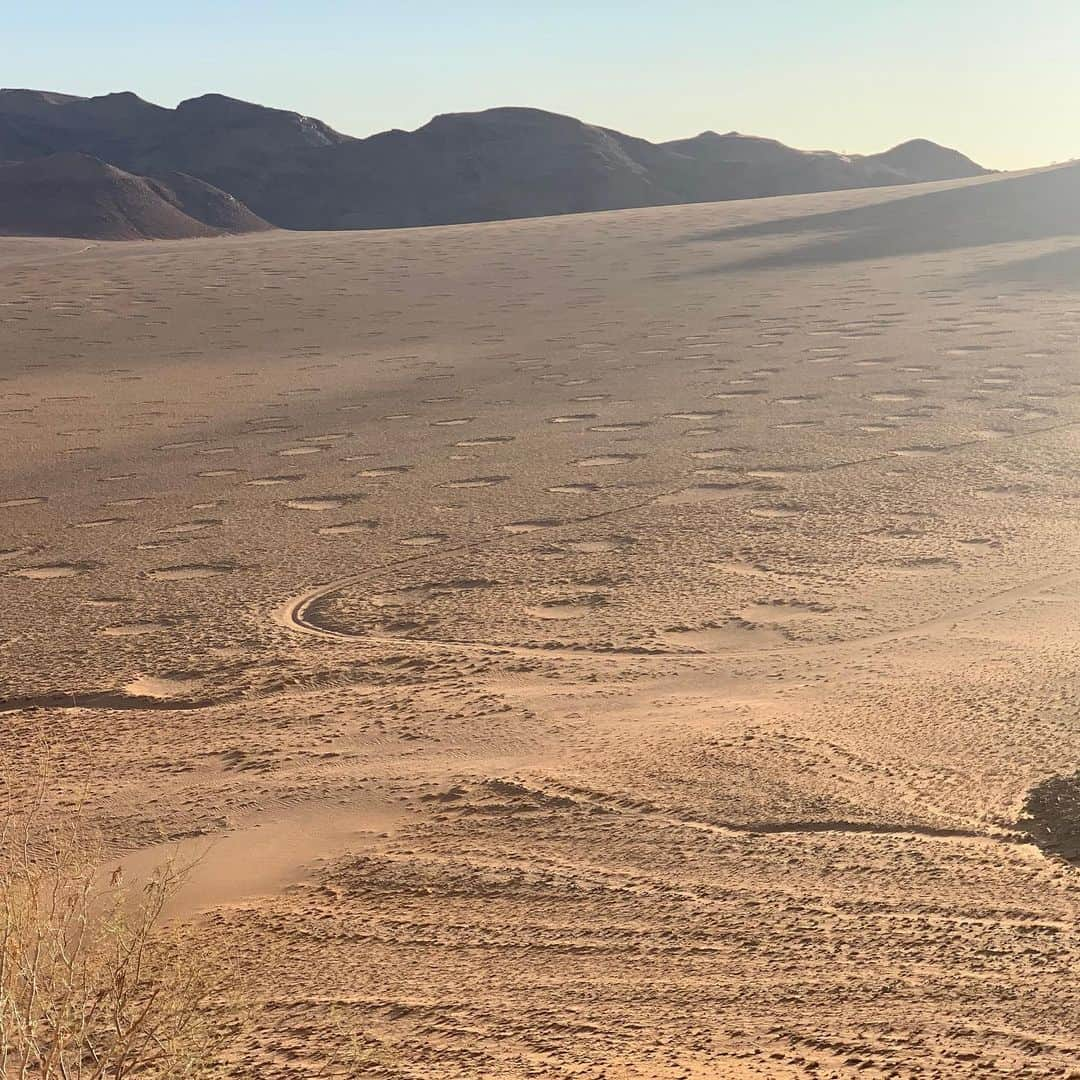 ホーランド・ロデンさんのインスタグラム写真 - (ホーランド・ロデンInstagram)「Endless beauty in sossusvlei」1月6日 3時43分 - hollandroden