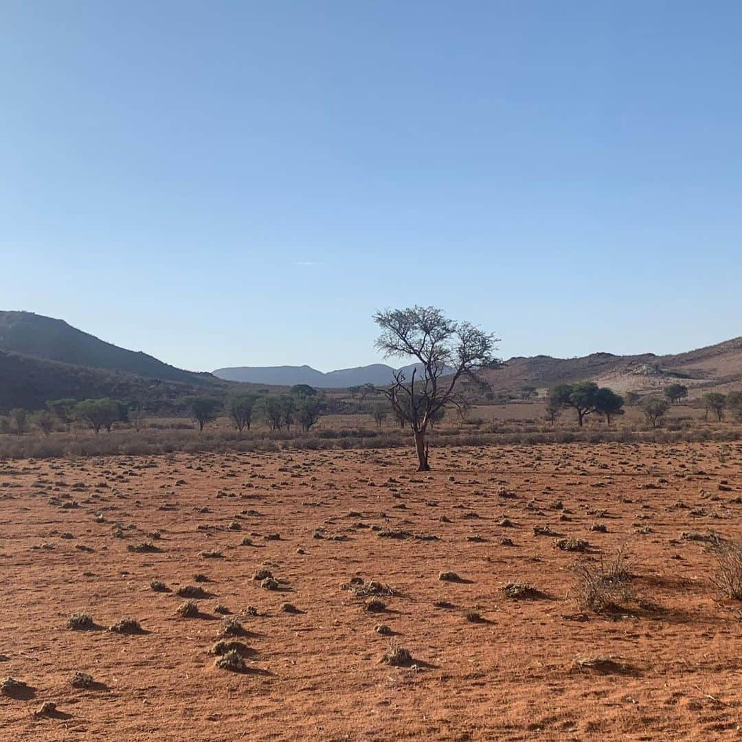 ホーランド・ロデンさんのインスタグラム写真 - (ホーランド・ロデンInstagram)「Endless beauty in sossusvlei」1月6日 3時43分 - hollandroden