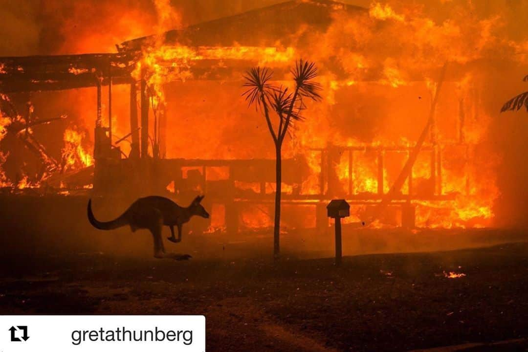 ベハティ・プリンスルーさんのインスタグラム写真 - (ベハティ・プリンスルーInstagram)「#Repost @gretathunberg ・・・ Australia is on fire. And the summer there has only just begun. 2019 was a year of record heat and record drought. Today the temperature outside Sydney was 48,9°C. 500 million (!!) animals are estimated dead because of the bushfires. Over 20 people have died and thousands of homes have burned to ground. The fires have spewed 2/3 of the nations national annual CO2 emissions, according to the Sydney Morning Herald. The smoke has covered glaciers in distant New Zealand (!) making them warm and melt faster because of the albedo effect. And yet. All of this still has not resulted in any political action. Because we still fail to make the connection between the climate crisis and increased extreme weather events and nature disasters like the #AustraliaFires  That has to change.  And it has to change now. My thoughts are with the people of Australia and those affected by these devastating fires.」1月6日 4時01分 - behatiprinsloo