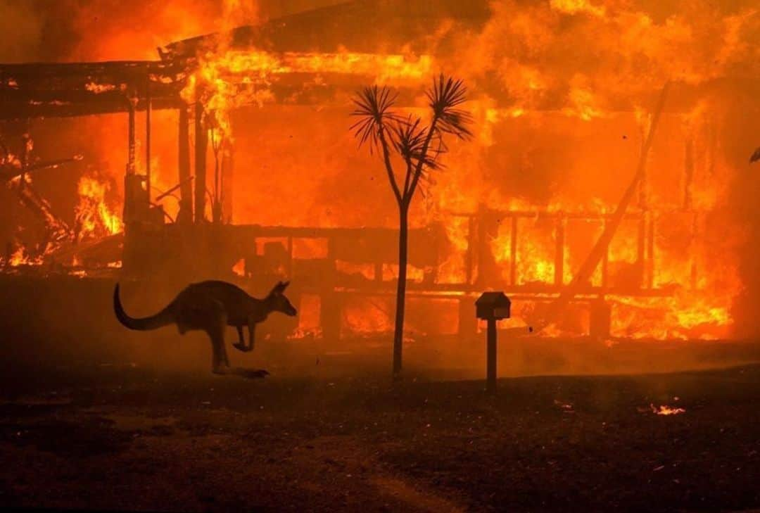 レイ さんのインスタグラム写真 - (レイ Instagram)「Wishing for safe evacuations and an end to the wildfires in Australia.」1月6日 14時15分 - layzhang