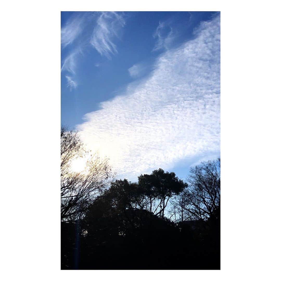 理絵さんのインスタグラム写真 - (理絵Instagram)「☁️💙☁️ .  #sky #cielo #하늘 #空 #雲 #tokyo #japan」1月6日 14時20分 - ____rie____