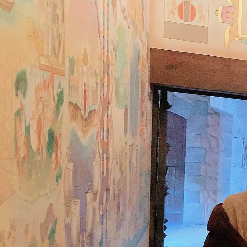 のインスタグラム：「めちゃくちゃ久しぶりに 家族4人でディズニーへ 両親共に楽しんでくれたみたいでよかった！ ソアリンすごかったー！ またみんなで出かけたいね」