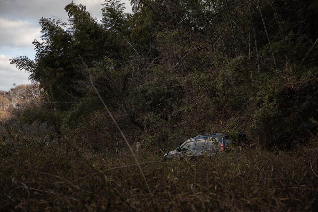 Shinsuke Inoueのインスタグラム：「To get some visual materials for  @wasaburou.w____oowets . Pleasure to be in the forest with my new car.  #TOYOTA #landcruiser #prado #prado150 #landcruiserprado #nature #forest #plants #bamboo #Japan #プラド150後期 #プラド150 #プラド #ランドクルーザープラド」