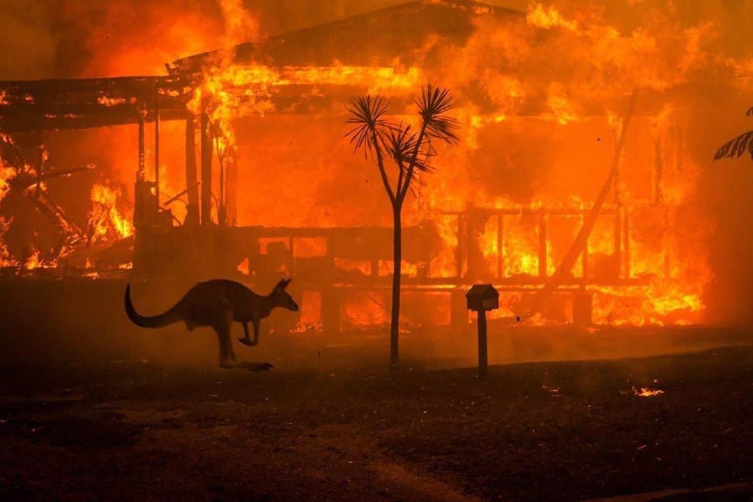 LUSH Cosmeticsさんのインスタグラム写真 - (LUSH CosmeticsInstagram)「🔁Repost @GretaThunberg:⁠ ⁠Australia is on fire. And the summer there has only just begun. 2019 was a year of record heat and record drought. Today the temperature outside Sydney was 48,9°C. 500 million (!!) animals are estimated dead because of the bushfires. Over 20 people have died and thousands of homes have burned to ground. The fires have spewed 2/3 of the nations national annual CO2 emissions, according to the Sydney Morning Herald. The smoke has covered glaciers in distant New Zealand (!) making them warm and melt faster because of the albedo effect.⁠ ⁠ And yet. All of this still has not resulted in any political action. Because we still fail to make the connection between the climate crisis and increased extreme weather events and nature disasters like the #AustraliaFires ⁠ ⁠ That has to change. ⁠ ⁠ And it has to change now. My thoughts are with the people of Australia and those affected by these devastating fires. ⁠ ⁠ / 📷Photo Credit: @mattabbottphoto for @nytimes」1月6日 7時01分 - lushcosmetics