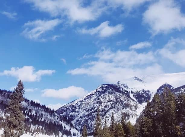アシュトン・ホームズのインスタグラム：「so I went to CO! I saw some of the beautiful Rockies and did some pretty cool things in 7° weather...#dogsledding #snowmobiling #skiing」