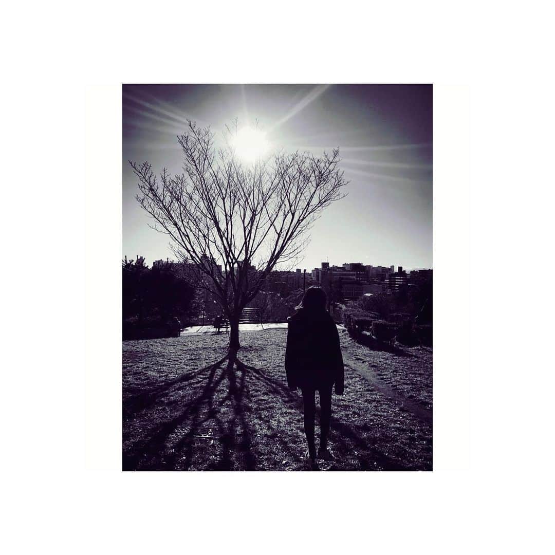 のインスタグラム：「一歩。二歩。三歩。  #👣」