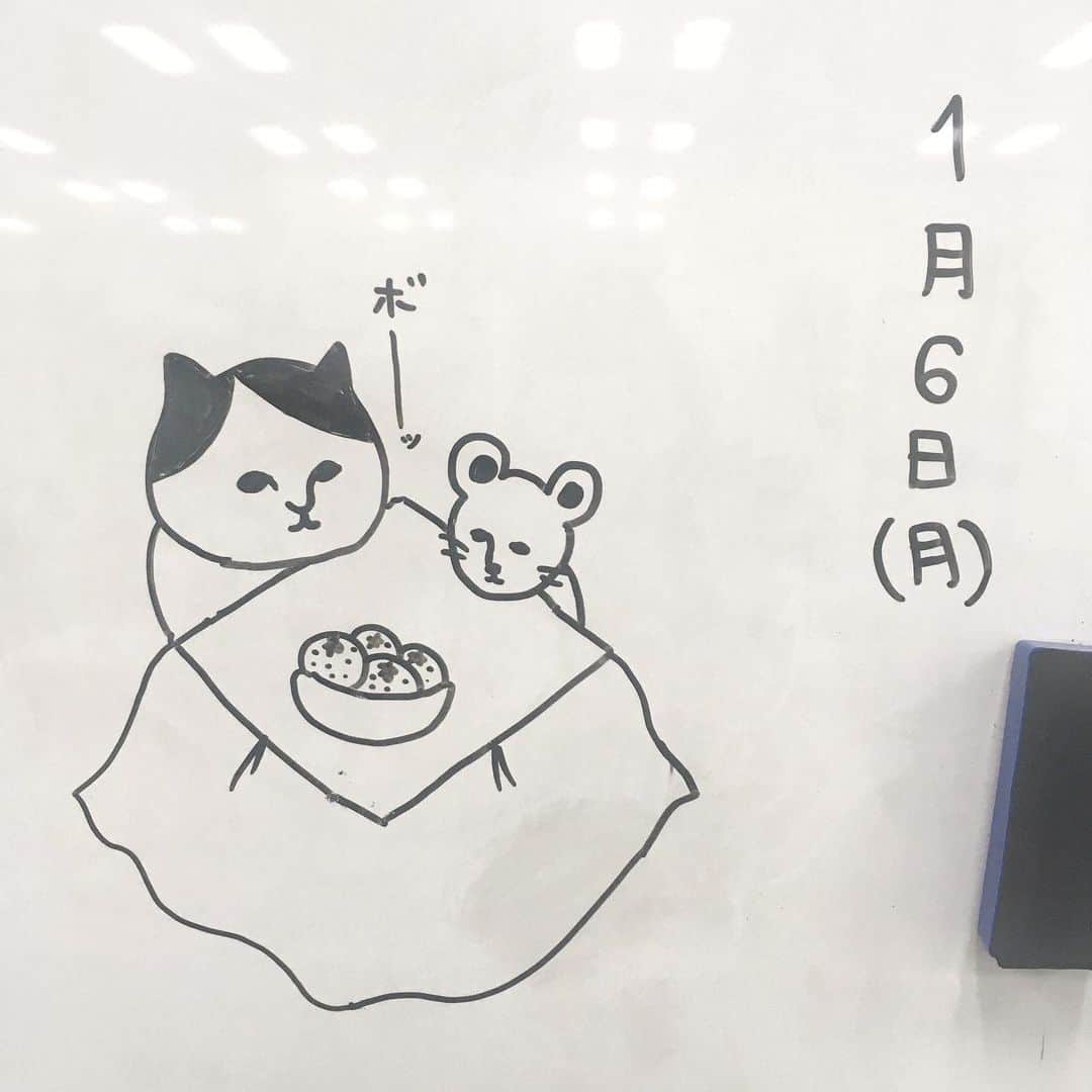 ねこのインスタグラム
