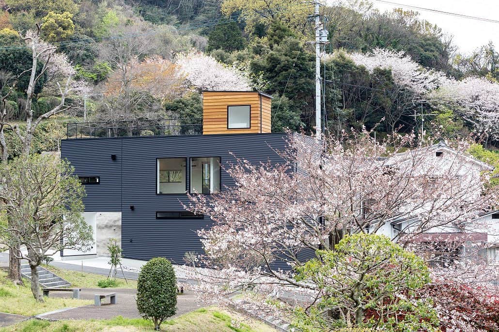 ソラマド香川のインスタグラム：「大きな窓。開放的な空間。 ・ ・ --------------------------------------- ‐‐　★「ソラマドの家」資料請求はこちら ・ → @request.soramadokagawa ・ ‐‐　★もっと施工事例を見たい方はこちら ・ → @soramado_kagawa --------------------------------------- ・ ・ #ソラマド香川 ・ #リビング#インテリア#自然素材#無垢床#マイホーム#新築#自由設計#シンプルな暮らし#自然光#暮らしを楽しむ#空間デザイン#soramado#ソラマド#家づくり#中庭のある家#カフェスタイル#自然素材#漆喰#自然素材の家#コートハウス#空#ウッドデッキ#注文住宅#中庭#おしゃれな家#ソラマドキッチン#設計事務所#センコー産業」
