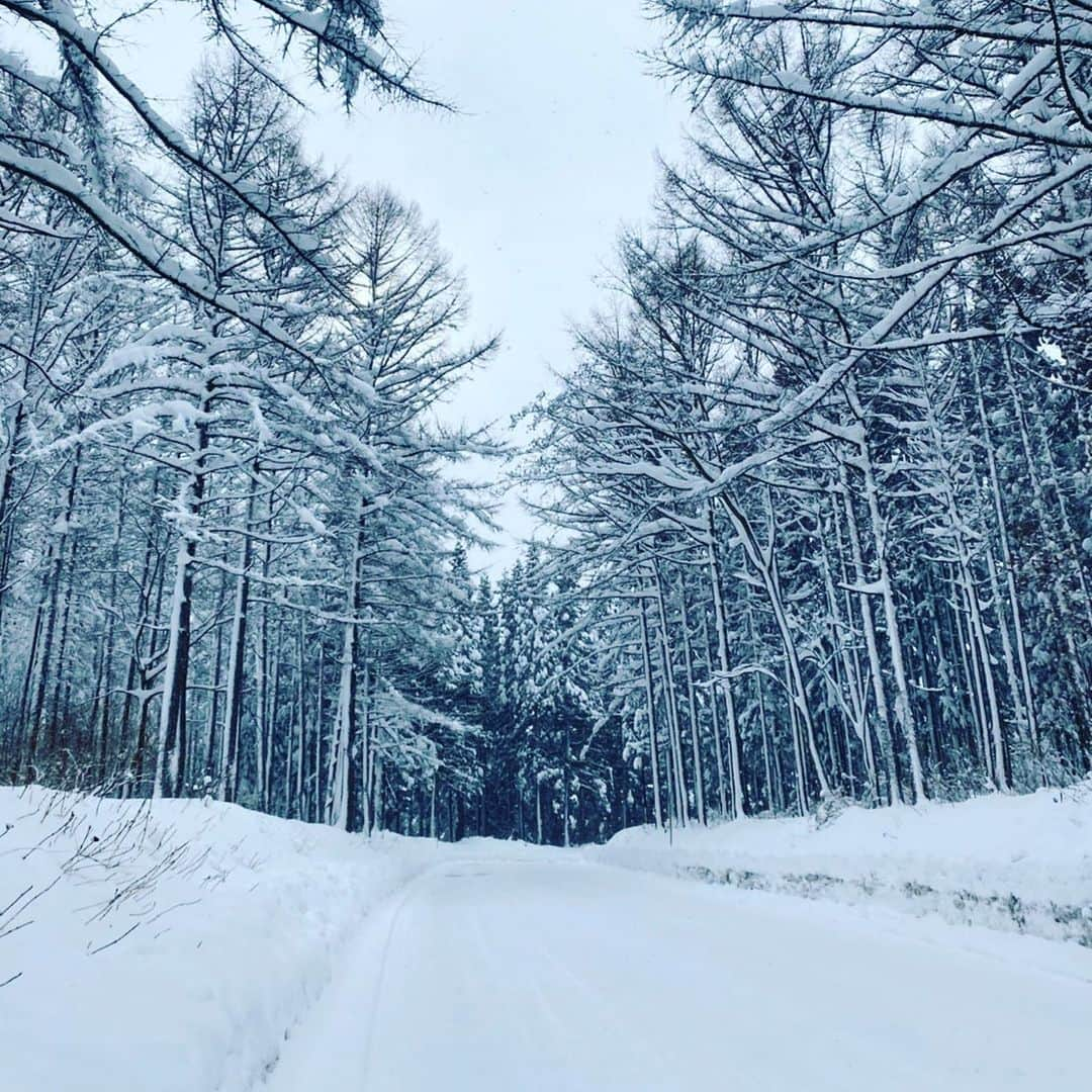 原口あきまささんのインスタグラム写真 - (原口あきまさInstagram)「雪だ〜✌️ #銀世界❄️ #正月休み満喫 #家族で #長野県白馬 #行ってきたよ」1月6日 9時41分 - akimasa_haraguchi