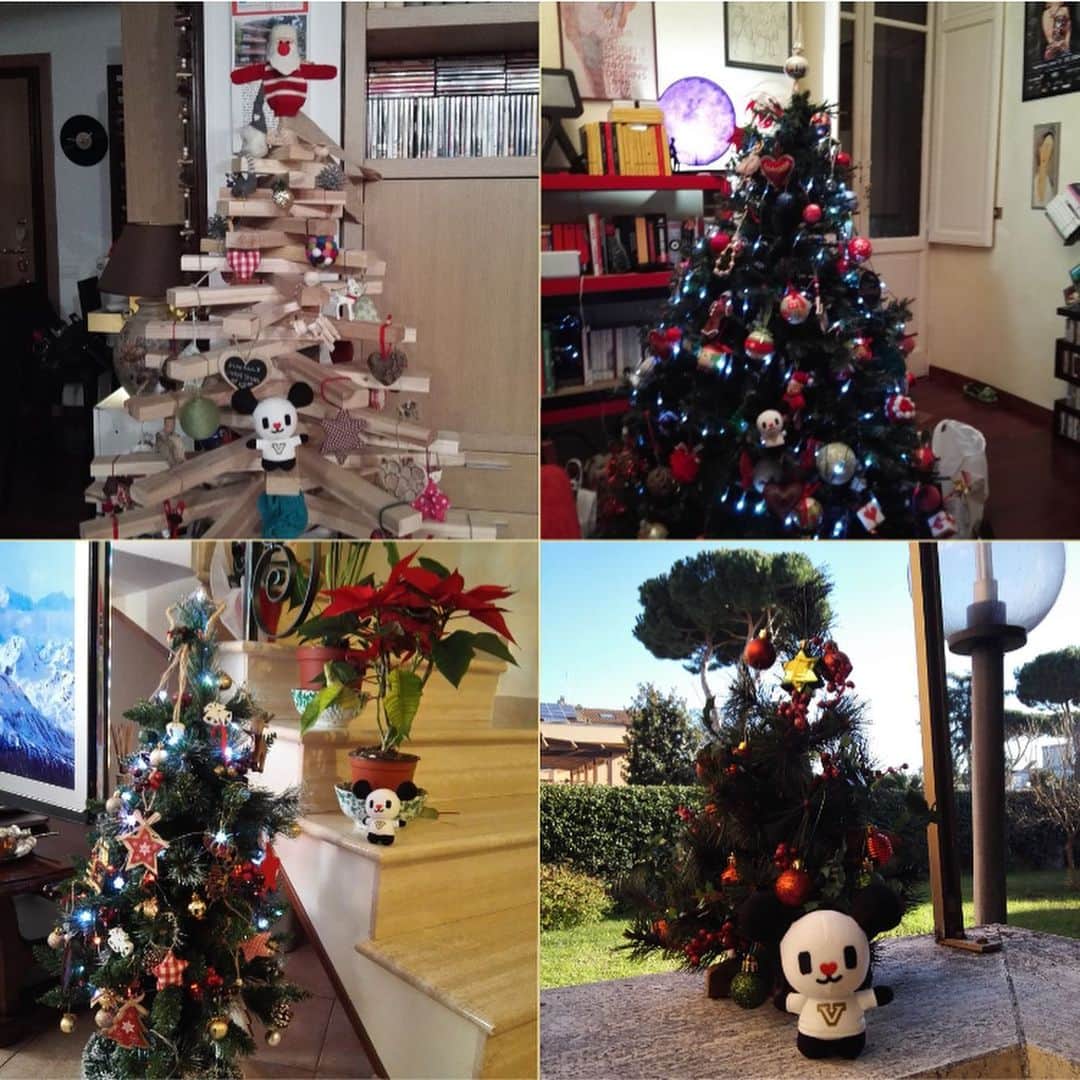 テレ朝newsさんのインスタグラム写真 - (テレ朝newsInstagram)「どこのお宅でも綺麗なクリスマスツリーを飾っていました。 そして、ツリーの下にはもちろんプレゼントが！ 順番に開けていく時はみんな大盛り上がりです。 #冒険ゴーちゃん。#テレビ朝日 #テレ朝 #news #六本木 #japan #テレビ #テレビが好きな人と繋がりたい #写真 #写真好きな人と繋がりたい #photography #ゴーちゃん #ごーちゃん #panda #おでかけ　#ローマの休日　#イタリア　#クリスマス　#プレゼント　#クリスマスツリー　#Christmas」1月6日 15時44分 - tv_asahi_news