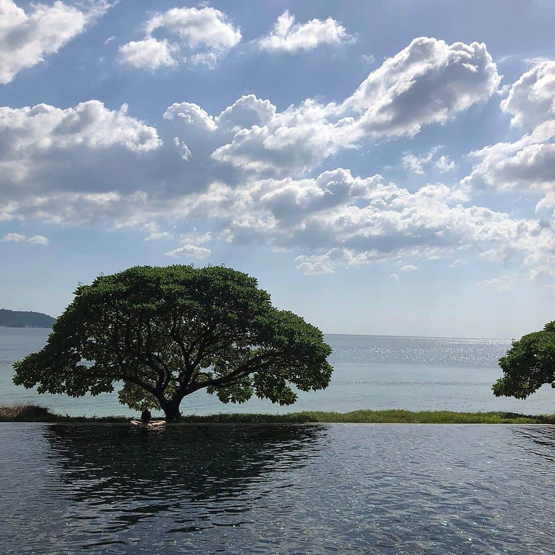 富岡佳子さんのインスタグラム写真 - (富岡佳子Instagram)「ひたすら海辺で読書三昧からのいきなりゴーグルをつけての50mプールを泳ぎまくる特殊な私だけの旅Style🤣 ホテルお籠り派の私には自分の作った水着とマリンパンツとラッシュガードがやはり便利でした（限定販売だったのでもう終了しています） その節は、emmiのデザイナーさんたち大変お世話になりました…数年越しにやっと自身で着れました🤣」1月6日 10時25分 - yoshikotomioka