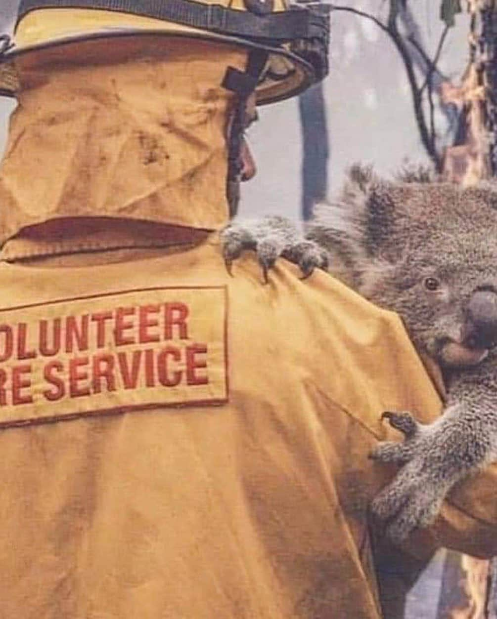 ケリー・ゲイルさんのインスタグラム写真 - (ケリー・ゲイルInstagram)「AUSTRALIA💔🇦🇺🙏🏽 I will be donating to: - Australian Red Cross Disaster Relief To help support the people effected by this disaster.  @redcrossau - the NSW Rural Fire Service to support the brave fire fighters. Big gratitude to all of the fire fighters being a part of this! @nswrfs - wires organization to support the wild life effected which the estimates say is over half a billion animals. Many of them close to extinction @wireswildliferescue  I also want to take a chance to highlight the Australian indigenous people and their work via 10 Desert organization.  Global climate change is real. The fact is that all over the planet these fires are getting worse and worse. From the fires In California, Russia, South America to name a few. Let’s all come together and help Australia. If you can donate, please do!Summer has just started there and the situation has the potential of getting much worse. ❤️🇦🇺」1月6日 10時20分 - kellygale