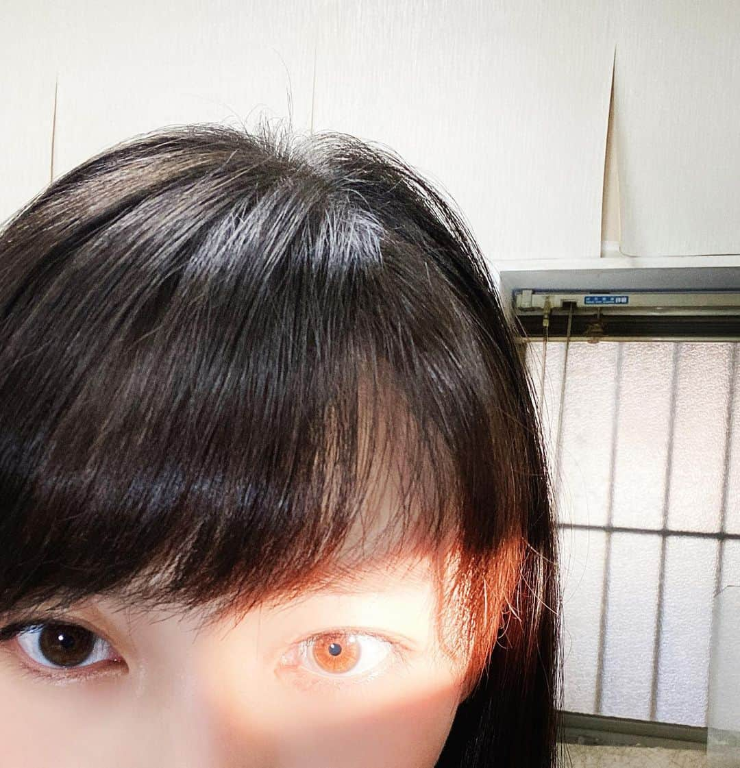 波瑠さんのインスタグラム写真 - (波瑠Instagram)「太陽の光って。 すごいですね。」1月6日 10時29分 - 06_haru_17