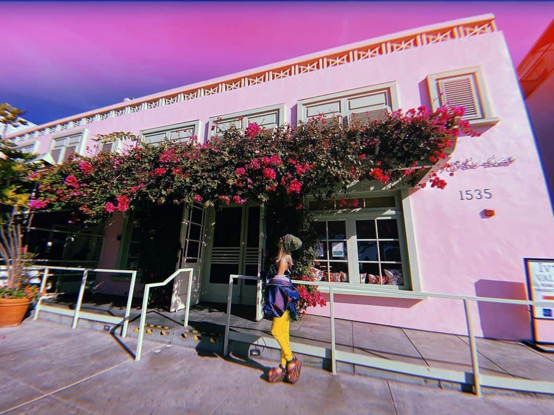 のインスタグラム：「my favorite place🌸💓 @ivyrestaurants」