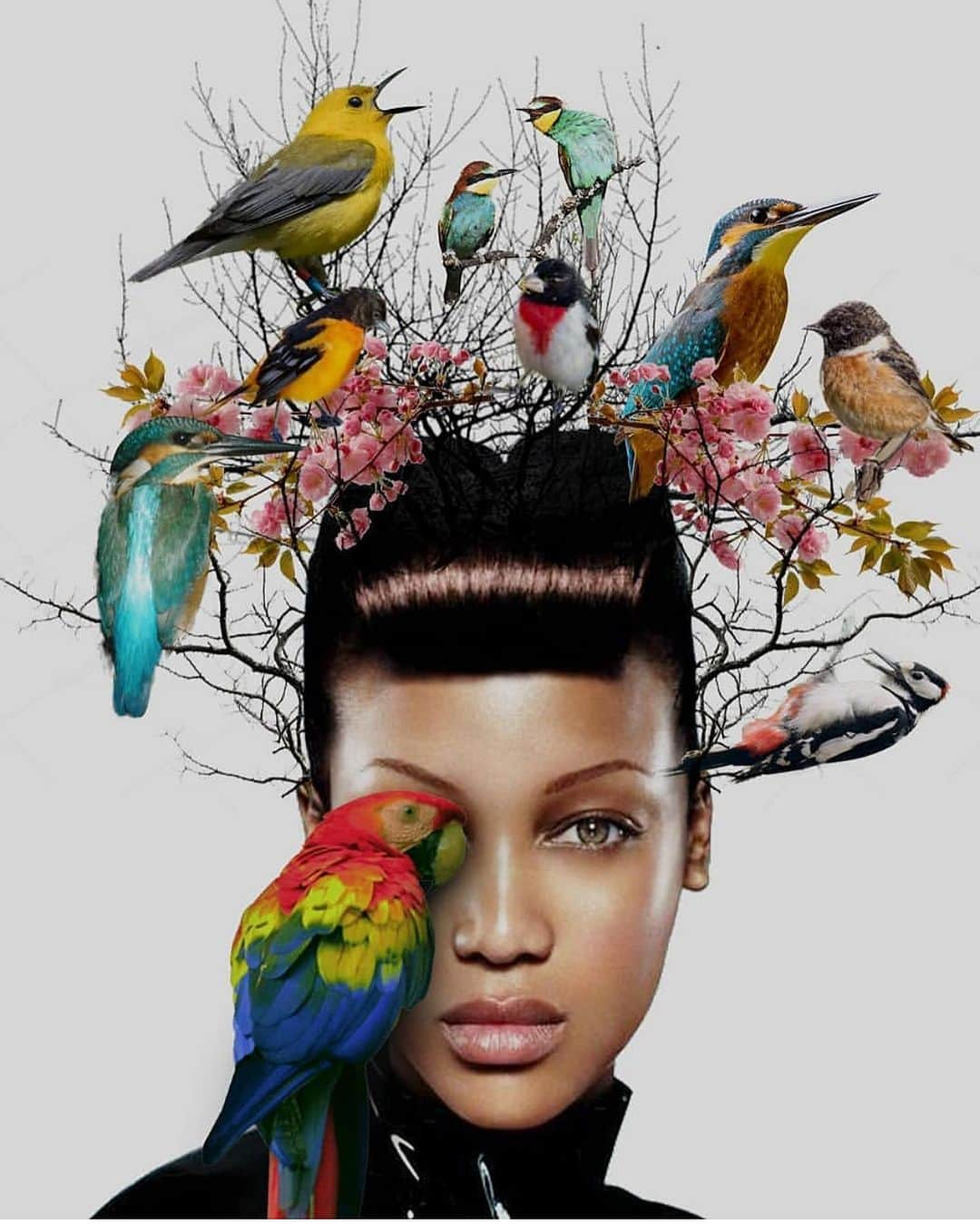 タイラ・バンクスさんのインスタグラム写真 - (タイラ・バンクスInstagram)「I’m terrified of birds.」1月6日 11時18分 - tyrabanks