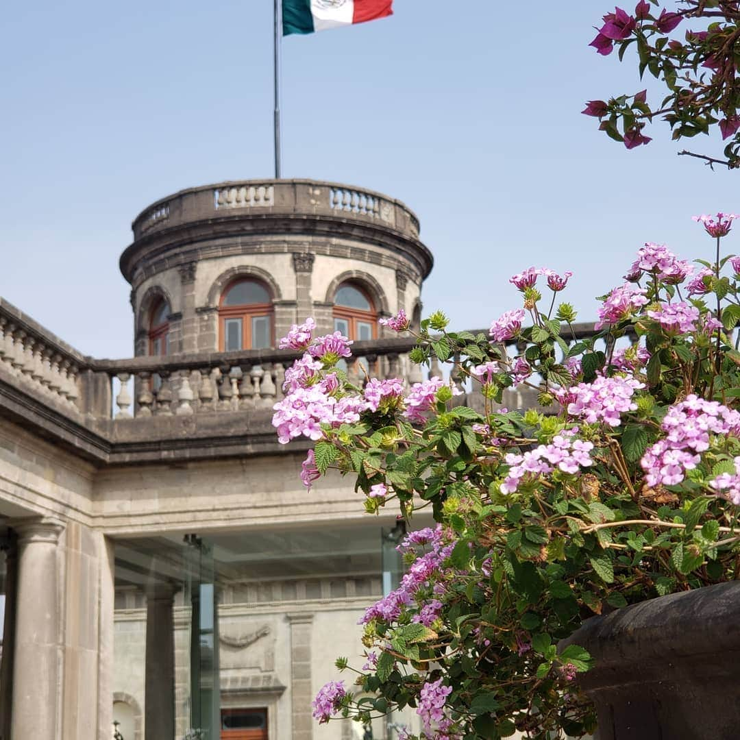 シンシア・マクウィリアムズさんのインスタグラム写真 - (シンシア・マクウィリアムズInstagram)「On my weekends, I've been  visiting different landmarks throughought Mexico (creating my own little field trips) this week it was Castillo de Chapultepec. It displayed imsges and artifacts of a changing Mexico throughout the centuries, housed in beautiful arquitectura!」1月6日 12時16分 - cyncityforever