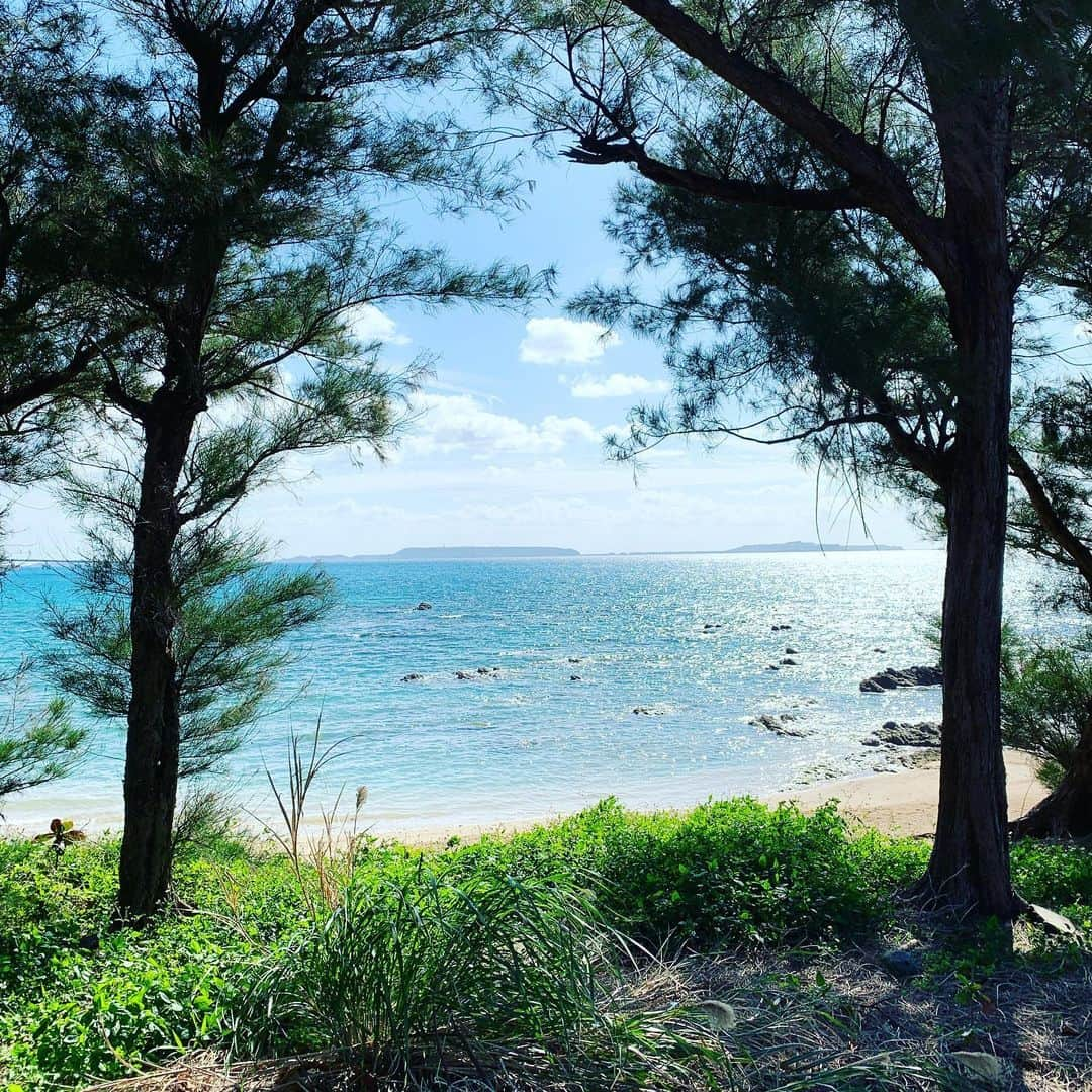 エリサのインスタグラム：「2020年も素敵な一年になりますように🏝 遅れましたがHappy New Year❣️」