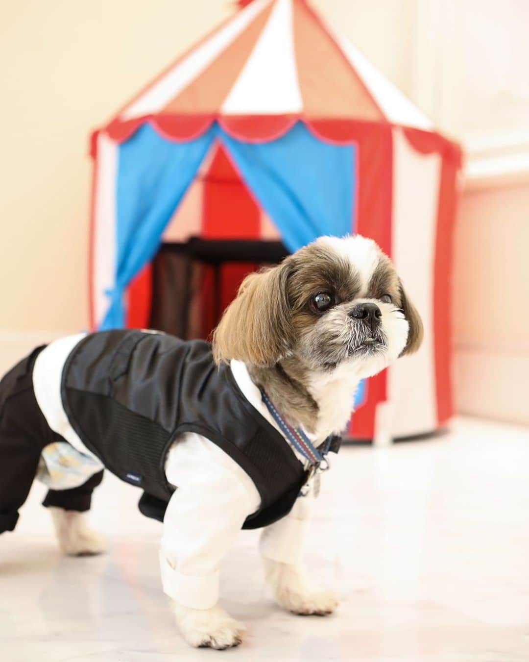 アーカンジェル迎賓館 宇都宮のグルメインスタ