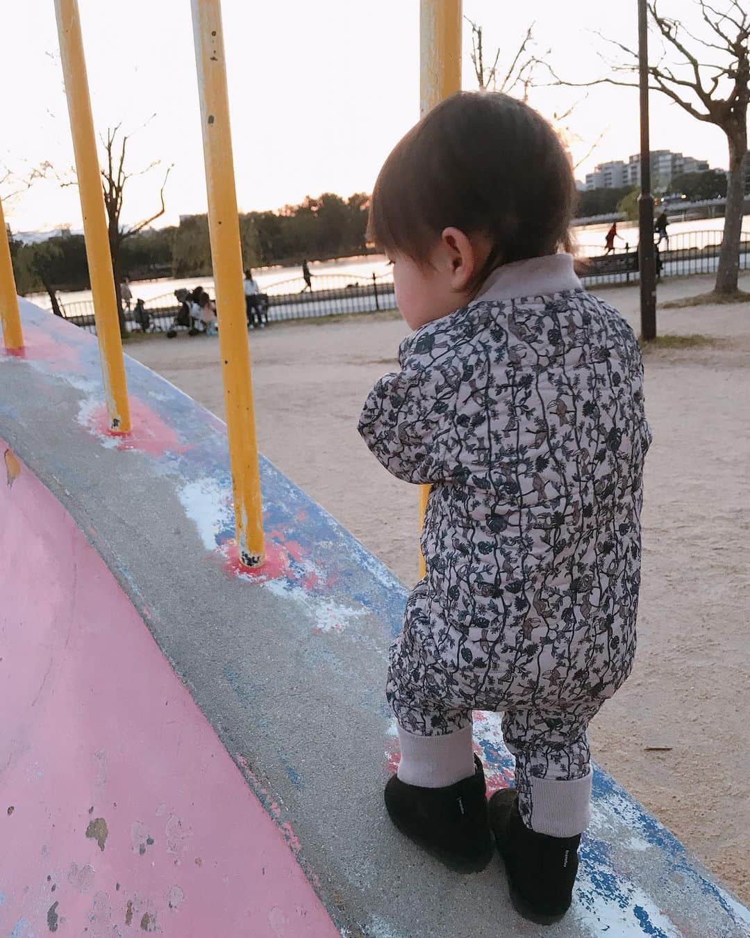 木村まこさんのインスタグラム写真 - (木村まこInstagram)「#1歳8ヶ月　気づけば#20ヶ月 ヤンチャ度が日に日に増していつか大きな怪我しないだろうか。と思ってる🐭 たくさんの癒しをありがとう。 . . リズン感がついてきて歌いながらリズム良く手を叩いたり楽器叩いたり。 歌も歌うようになってきた♫ 10まで数えるマネしてるけどまだ2.3.10しかいえない🥴かわ。 . . #20months#生後20ヶ月 #未就学児#0歳児クラス#離乳食完了期 #1歳#1歳7ヶ月#4月生まれ#2018_spring_baby部 #女の子ママ#女の子baby#女の子キッズ #コドモノ#ママリ#ベビフル #育児日記#ママライフ#新米ママ#福岡ママ#福岡プレママ#プレママ#ママスタグラム#ベビスタグラム #赤ちゃんのいる生活#赤ちゃんと犬 #子供と犬」1月6日 13時50分 - maco_kimura