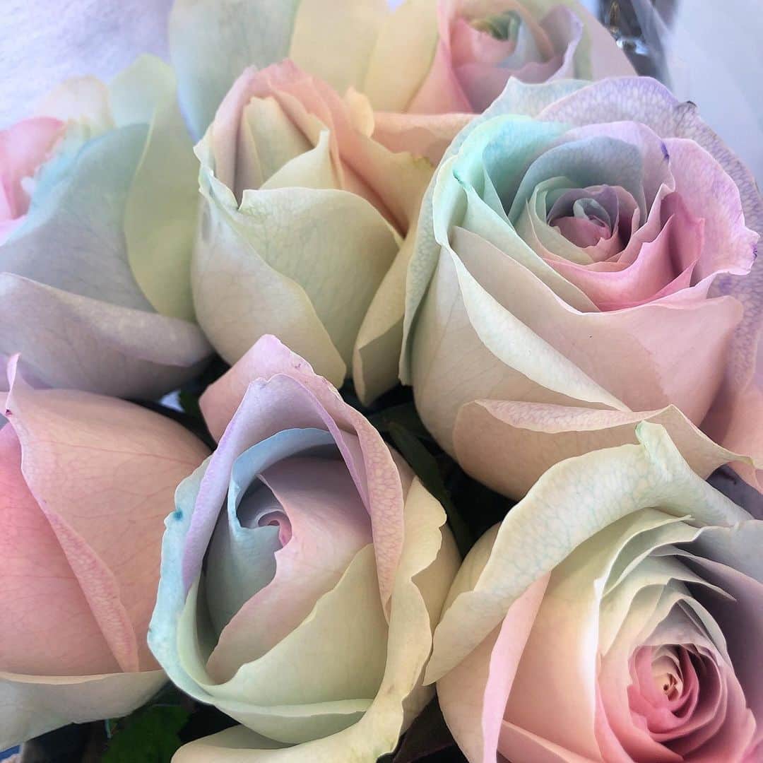 平松可奈子さんのインスタグラム写真 - (平松可奈子Instagram)「素敵な薔薇の花束💐 10本は  あなたは全てが完璧  虹色は無限の可能性 …ありがとう🤭💕 飾ったあと ドライフラワーにしようかな💓 . #rose  #花束　#花言葉 #虹色　#薔薇　#flower」1月6日 13時54分 - 11kanaco14