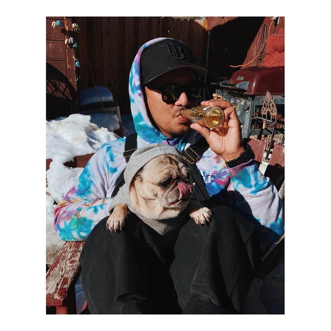Melissa Santiagoのインスタグラム：「New year; same crew. #DailyPug #LeicaHarrietPancakes #DailyJuls #Pug #pugsofinstagram #TeamMorelli」