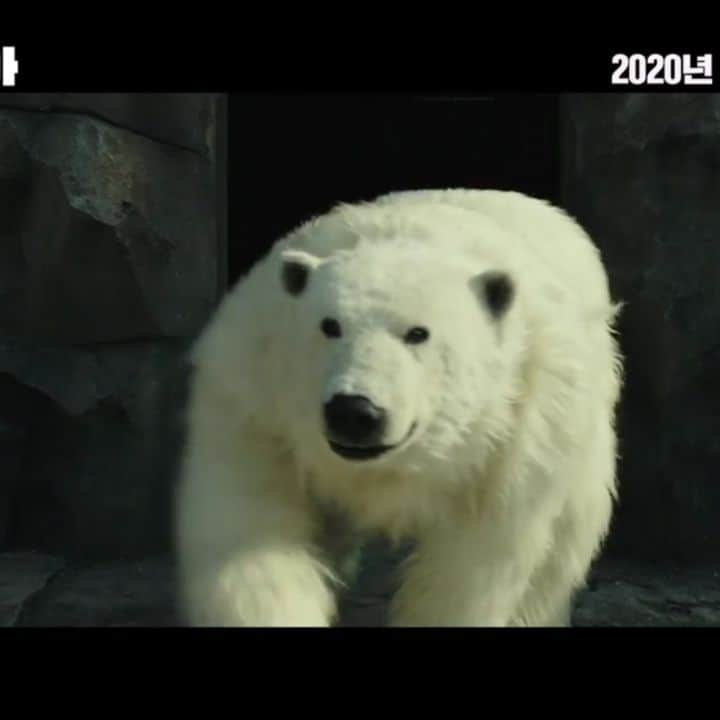 カン・ソラのインスタグラム：「#해치지않아 #upcomingmovie #january15」