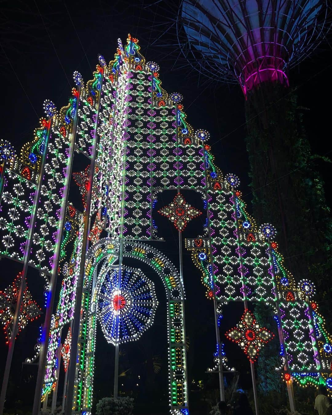 畑田亜希さんのインスタグラム写真 - (畑田亜希Instagram)「🎄Gardens by the bay 🎄 ・ 🎅🏼Christmas Magical luminarie ✨☃️ ・ #2019 #sg #gardensbythebay #christmas #luminarie #また雪降ってきた☃️」12月13日 22時06分 - akihatada