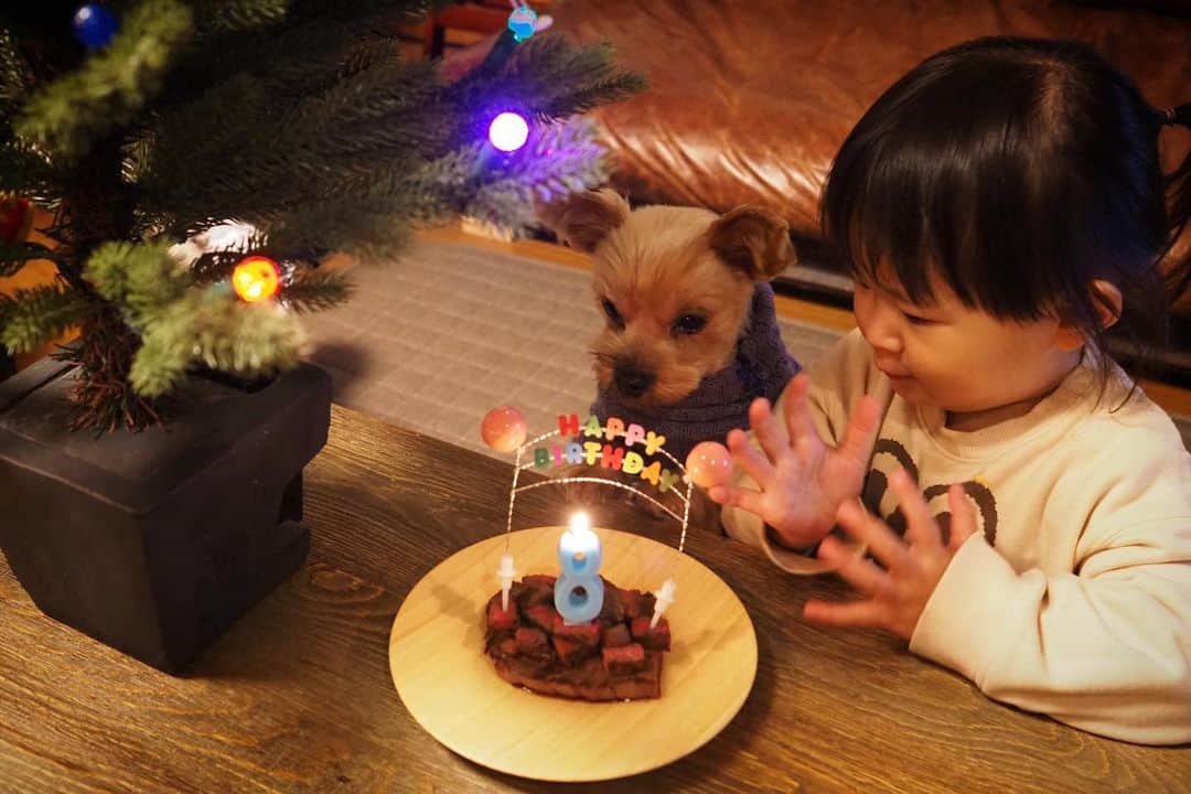 maatamagosanさんのインスタグラム写真 - (maatamagosanInstagram)「今日はライカの8歳のお誕生日。ステーキ焼いてお祝い🥩🥂🎂」12月13日 22時37分 - maatamagosan