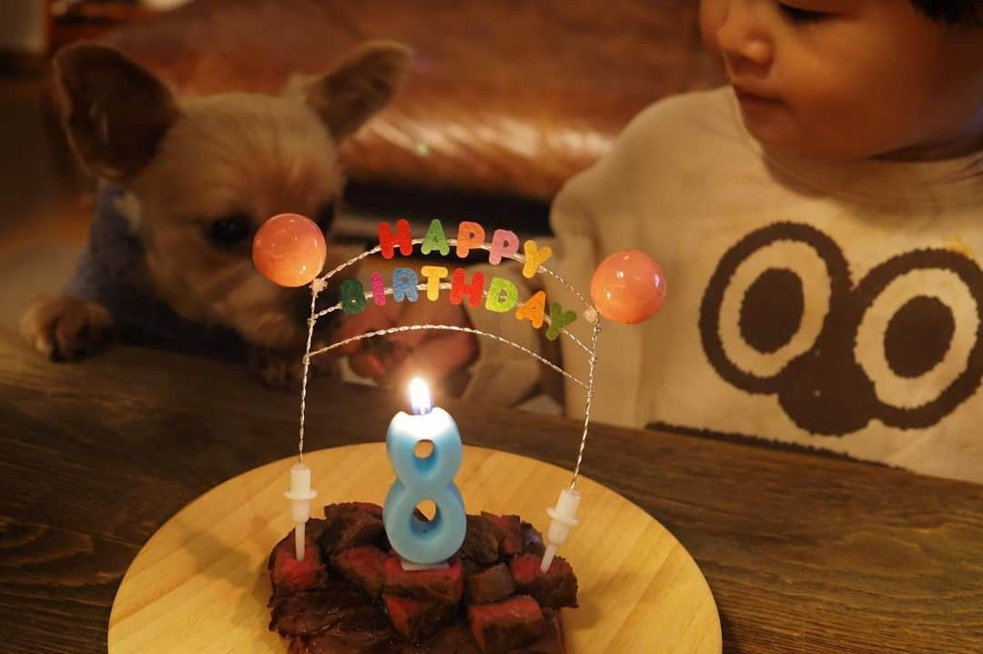 maatamagosanのインスタグラム：「今日はライカの8歳のお誕生日。ステーキ焼いてお祝い🥩🥂🎂」