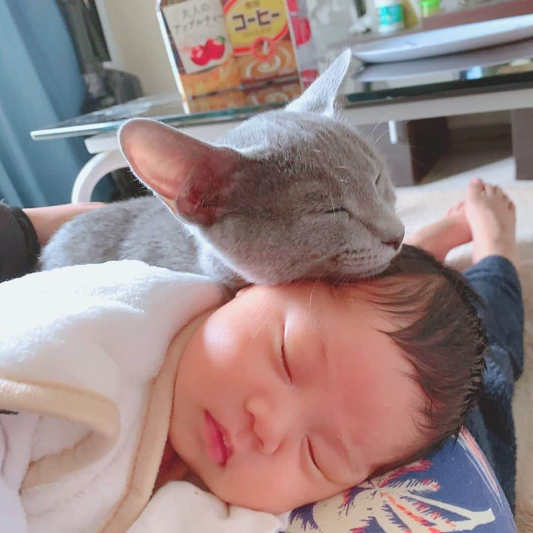 ままのてさんのインスタグラム写真 - (ままのてInstagram)「.⠀ 【仲良くねんね👶❤️🐱】⠀ .⠀ .⠀ #ままのて⠀ .⠀ 落ち着くポジション？☺️⠀ ぐっすりネンネ💤⠀ 重なり感がたまりません🥺💕⠀ .⠀ #お昼寝⠀ #赤ちゃんと猫⠀ .⠀ .⠀ @k324ask様の投稿です。⠀ 素敵なお写真ありがとうございました💝⠀ .⠀ .⠀ 〈mamanote_officialのオリジナルキャンペーンへ参加しよう♡〉⠀ .⠀ お子様のかわいい動画、写真 ▶︎【 #ままのて 】.⠀ @mamanote_official をフォローして、 投稿する動画や写真に合ったオリジナルハッシュタグをできるだけ多くつけて、インスタグラムにアップしてみましょう！⠀ .⠀ .⠀ 毎日、担当者が投稿をチェックして、素敵な写真と動画をピックアップして、公式アカウントで紹介します❤️⠀ .⠀ そして！！毎月、ハッシュタグごとに、@mamanote_official がピックアップした写真の中で1番｢いいね｣の多い方に、アマゾンギフト券3000円分プレゼント！当選者にはDMを送らせていただきます♡.⠀ .⠀ また、動画や写真は、ままのてのFacebook、 またはウェブサイト 「ままのて」内の記事で紹介させていただきます🙌.⠀ .⠀ .⠀ #ベビーフォト#赤ちゃんのいる生活#キッズモデル#ベビーモデル#新米ママ#成長記録#子育て#育児ママカメラ#スマイル育児#こどもと暮らす#子育て記録#育児記録#ひよこクラブ#子育てグラム#ママさんと繋がりたい#ig_oyabakabu #ベビスタグラム#ママ友募集#コドモダカラ#followme#親バカ部#たまひよ#まいひよ#関西ママ#関東ママ#令和ベビー」12月13日 14時00分 - mamanote_official