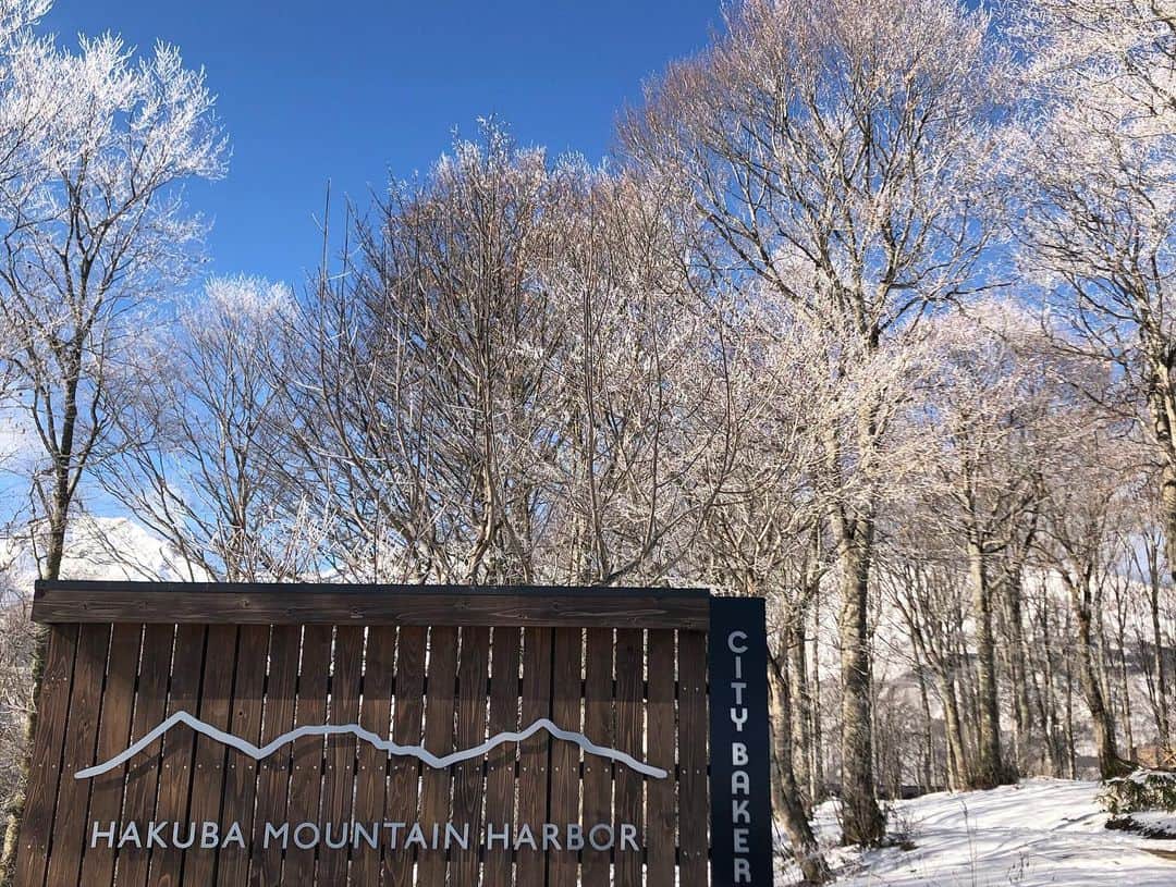 白馬岩岳スノーフィールドさんのインスタグラム写真 - (白馬岩岳スノーフィールドInstagram)「皆さん、こんにちは🌞 白馬岩岳、冬の営業本日13日より観光営業スタートいたしました✨※スキー場オープンは、積雪状況次第となります。HPおよびFacebookにてお知らせいたします。※ 初日の今朝は、天気も良く…絶景です🗻 青空と、冬の山が広がり、HAKUBA MOUNTAIN HARBORで絶景をお楽しみください🤗🎵 絶景を見ながら、温かいコーヒーとクロワッサン🥐いかがですか…？今朝も焼きたてのクロワッサン、クッキーが並んでいます🎵  冬のHAKUBA MOUNTAIN HARBORの景色と、CITYBAKERYのクロワッサン、サンドイッチ、クッキー、スコーン等お楽しみください😊スタッフ一同、お待ちしております🎵  #白馬マウンテンハーバー #白馬岩岳 #シティーベーカリー #シティーベーカリー白馬  #白馬 #hakubamountainharbor #hakuba #hakubaiwatake  #citybakery」12月13日 14時02分 - hakuba_iwatake