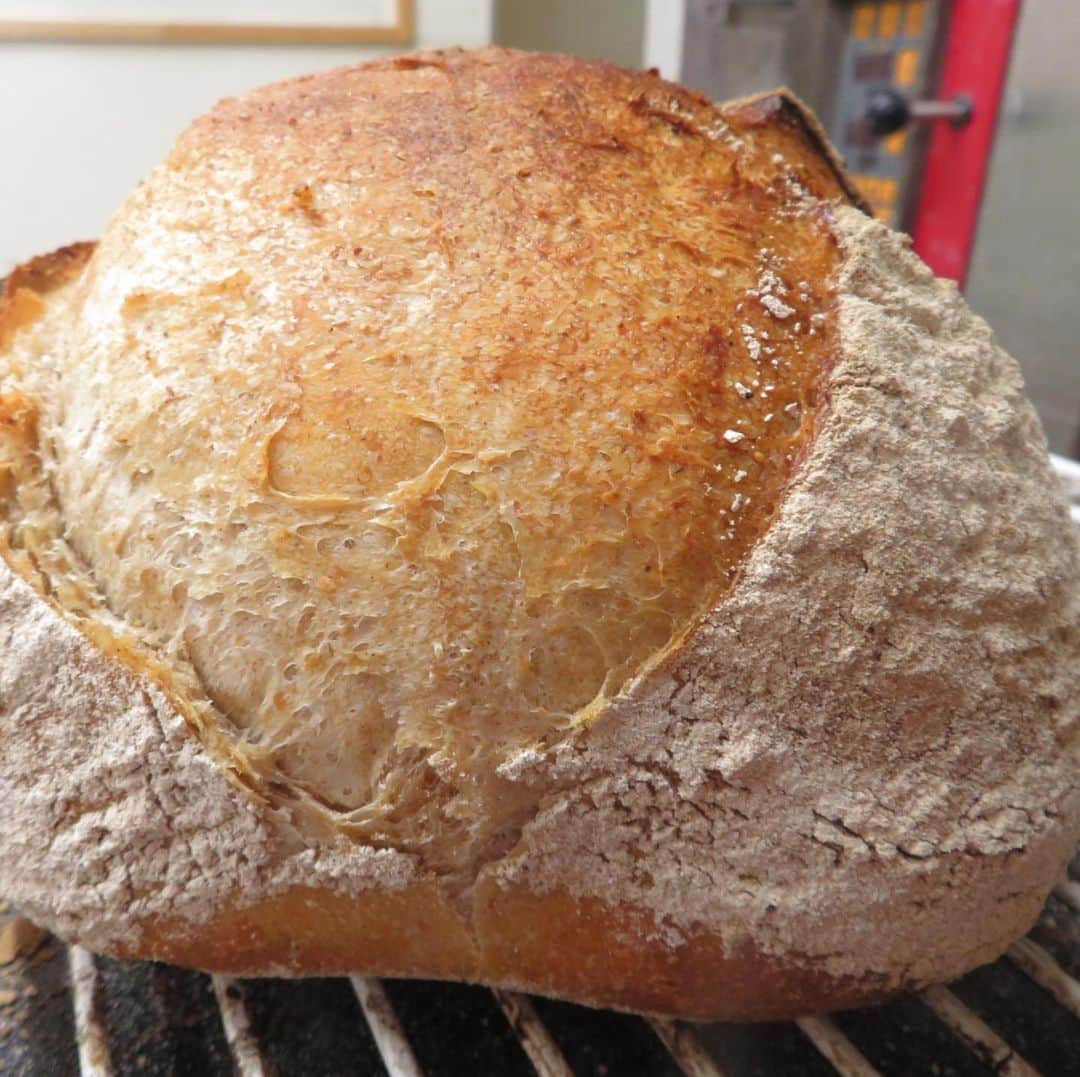 魔女菅原のグルメインスタ