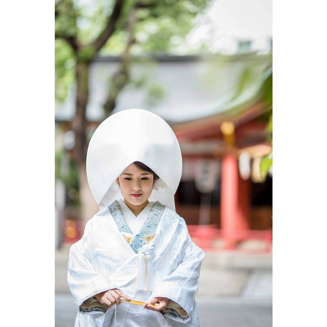 和婚スタイルさんのインスタグラム写真 和婚スタイルinstagram 青い色掛下と白無垢 洋髪綿帽子が上品でオシャレなコーディネートです Wakonstyle 和婚スタイル 神社婚 和婚 和装 綿帽子 白無垢 洋髪 和装髪型 ウェディングフォト ブライダルフォト
