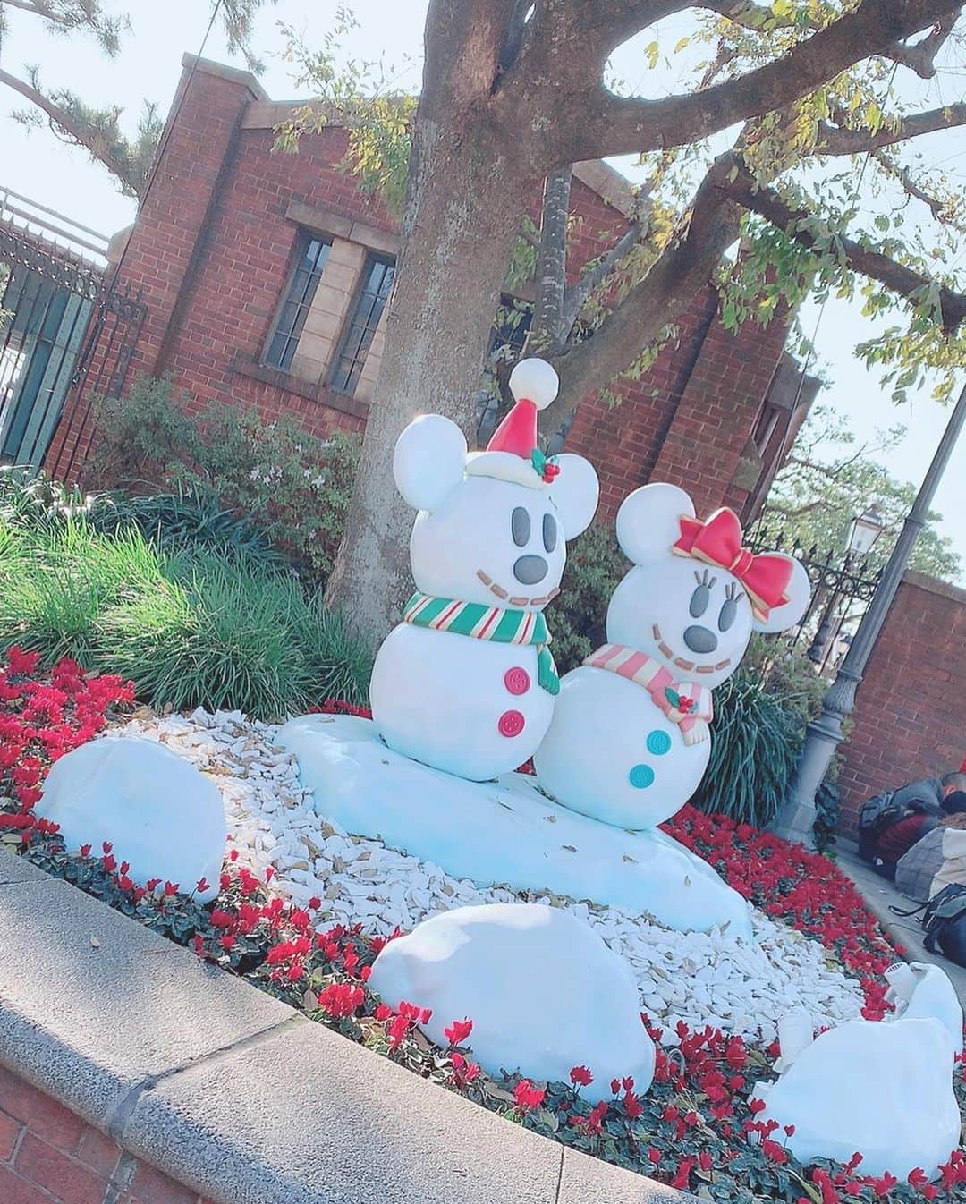 恋汐 りんごさんのインスタグラム写真 - (恋汐 りんごInstagram)「🎄 ❤️ 🎄 ❤️ ディズニークリスマスいぇいはわ♡ (Ｕ∩ 'ᴗ' ∩Ｕ) 白いボアのカチューシャと 白と赤のマフラーで クリスマス〜♡(Ｕ///'ᴗ'///Ｕ) ♡ シーでイッツクリスマスタイムをみたあと、ランドに移動してディズニークリスマスストーリーズをみたなの♡(Ｕ∩ 'ᴗ' ∩Ｕ) ♡ 日中は冬にもかかわらずあちはわだったのでソアリンのドリンク♡ ♡ 冬はアップル＆シナモンのホットドリンクが大好き(Ｕ*^ω^*Ｕ)🍎 ♡ 今年は大和さんとハロウィンいけなかったのでディズニークリスマスしてきたよ(Ｕ∩ 'ᴗ' ∩Ｕ)♡ ツーショットも追ってのせまるね (Ｕ*^ω^*Ｕ)♡ 🎄 #disneysea  #disneyland  #disneychristmas  #恋汐りんご」12月13日 15時45分 - sioringogo