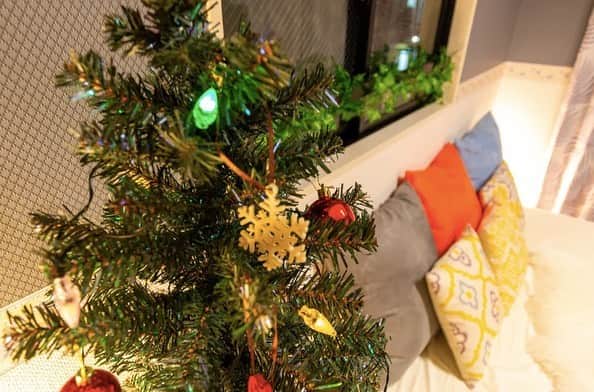 Space Marketさんのインスタグラム写真 - (Space MarketInstagram)「【mysa新宿】  スペースマーケットではクリスマスパーティーにぴったりな装飾済みスペースも多数掲載しています。  お部屋をクリスマスツリーと間接照明でムードたっぷりにデコレーション。室内バルコニーもあるスペースです。 ． #スペースマーケット #スペマ #spacemarket #レンタルスペース東京 #クリスマスインテリア #インテリア #インテリア好き #部屋作り #のんびりまったり #おしゃれさんと繋がりたい #暮らしの空間 #シンプルインテリア #クリスマスパーティー　#部屋作り #myroom #空間コーディネート #ボドゲ会 #ていねいな暮らし #暮らしを楽しむ #忘年会　#クリスマスツリー #屋内イルミ #女子会 #模様替え #ママ友会 #映画観賞会 #コスプレパーティー #クリスマスデート #室内バルコニー  #ホムパ #間接照明」12月13日 15時55分 - spacemarketjp