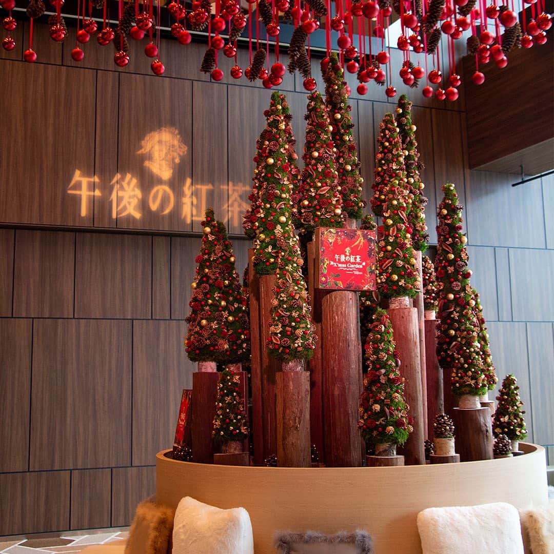 キリンビバレッジさんのインスタグラム写真 - (キリンビバレッジInstagram)「🎄午後の紅茶 X‘mas Garden オープン🎄﻿ ・﻿ 「キリン 午後の紅茶」と「ニコライバーグマン フラワーズ＆デザイン」がコラボレーションしたクリスマスシーズン限定のカフェがオープン！﻿ 美しい季節の花々に囲まれて、いつもと違う特別なティータイムを🥰❄️﻿ ・﻿ 日時：12月13日（金）〜22日（日）（11：00～21：00）﻿ 場所：渋谷スクランブルスクエア﻿ 　12階　Secne12﻿ ・﻿ 3つの時間帯によって変わる、このイベントだけの限定メニューは要チェックです🥺💕﻿ ・イレブンジスティー（11：00～14：00）﻿ ・アフタヌーンティー（14：00～17：00）﻿ ・ハイティー（17：00～21:00）﻿ ・﻿ ゆったりとリラックスしたティータイムで１日の終わりにスイッチをOFFする準備ができるハイティーメニューはこちら。﻿ ・﻿ 🎄シナモンアップル﻿ 華やかな香りの午後の紅茶　ストレートティーに、ジューシーに溶けだしたオレンジとりんごを合わせ、﻿ アクセントにシナモンで仕上げた、食感と香りが楽しめるホットフルーツティー。﻿ 550円（税込）﻿ ・﻿ 🎄スパイシーセピアチャイ﻿ 午後の紅茶 ミルクティーをベースに、ふわふわクリーミーのミルクフォームにスパイスのホールをトッピング。シナモンが優しく香る濃厚な味わいのあたたかいチャイティー。﻿ 550円（税込）﻿ ・﻿ 🎄シトラスミントジュレップ﻿ 爽やかな午後の紅茶レモンティーにすっきりミントが香る大人味のノンアルコールカクテルティー。﻿ 後味さっぱりで食事にも合います。﻿ 550円（税込）﻿ ・﻿ 朝から夜まで様々なシーンを楽しめる午後の紅茶の魅力をぜひご体験ください❣️﻿ ・﻿ イベント会場で、抽選で55名様に「午後の紅茶 X'mas Garden produced by Nicolai Bergmann」オリジナルフラワーギフトをプレゼントするキャンペーンも🎁﻿ ・﻿ ①キリンビバレッジInstagramアカウント（ @kirin_beverage ）をフォロー﻿ ②イベント会場で撮影したドリンクやスイーツの写真を #午後ティークリスマス と #冬のティーパーティー をつけて投稿﻿ ・﻿ ・﻿ #キリンビバレッジ #KIRIN #KIRINSTAGRAM #キリン #キリンスタグラム #ニコライバーグマン #nicolaibergmann #フラワーボックス #プレゼント #花 #flowerstagram #flowers #flower #ストレートティー #ミルクティー #レモンティー #おいしい無糖 #gogotea #tea #shibuya #tokyo #渋谷スクランブルスクエア #紅茶派 #紅茶 #午後ティー #コラボ #午後の紅茶」12月13日 17時12分 - kirin_beverage