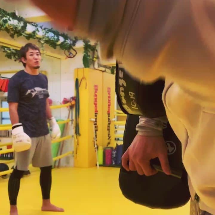 ファンキー加藤のグルメインスタ