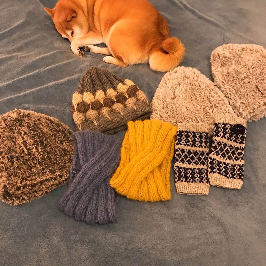 マル子のインスタグラム：「楽しくてとりあえず手持ちの糸で編みまくってます🧶  #マル子  #手編み  #三國万里子」
