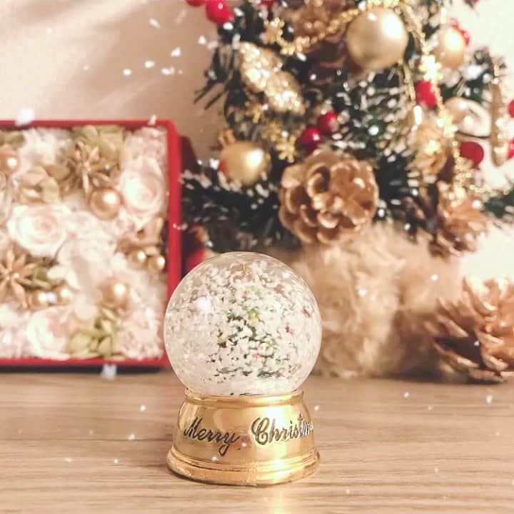 石橋あこのインスタグラム